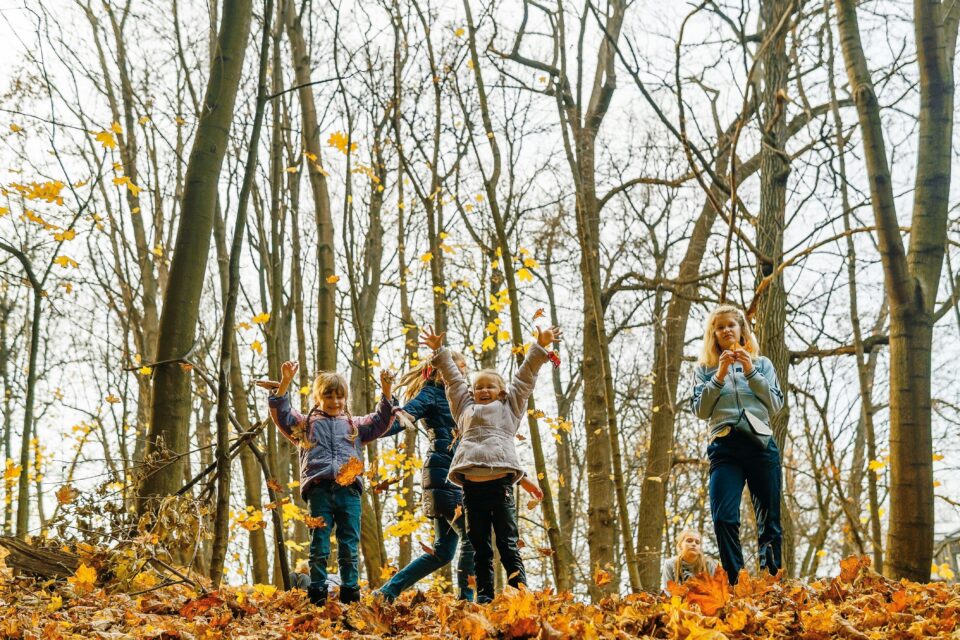 Affordable Autumn Activities with My Explorer Card