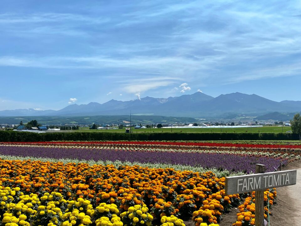 Why Hokkaido Reigns as Japan’s Most Popular Region for 16 Years Straight