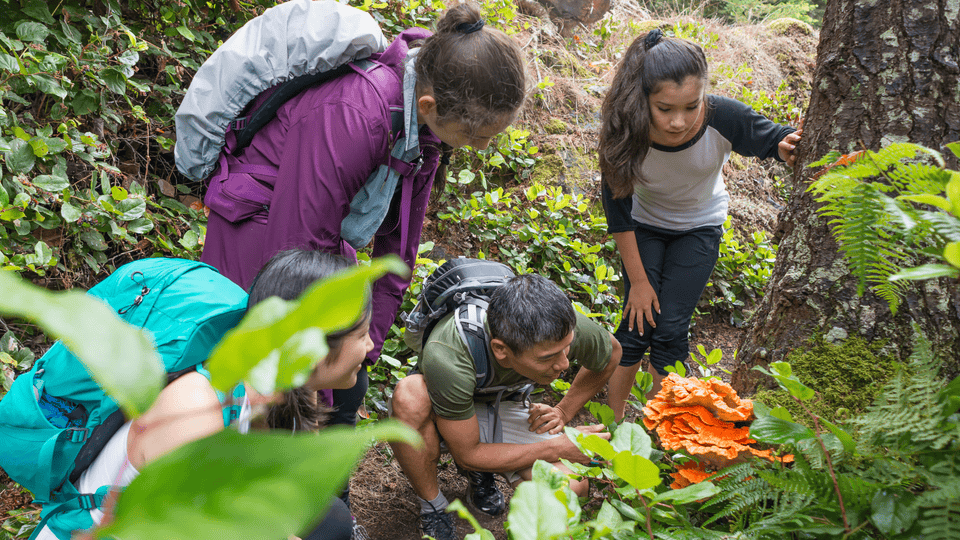 Foraged Feasts: It’s time to swap the white tablecloths for a blanket of fallen leaves