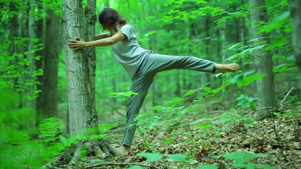 Offbeat Spa Techniques: Japan’s ‘Shinrin-Yoku’, or forest bathing, is gaining global attention.
