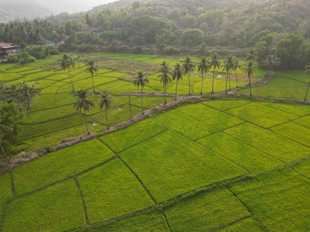 Goa Tourism launches Glow On Arrival campaign: A rejuvenating monsoon escape