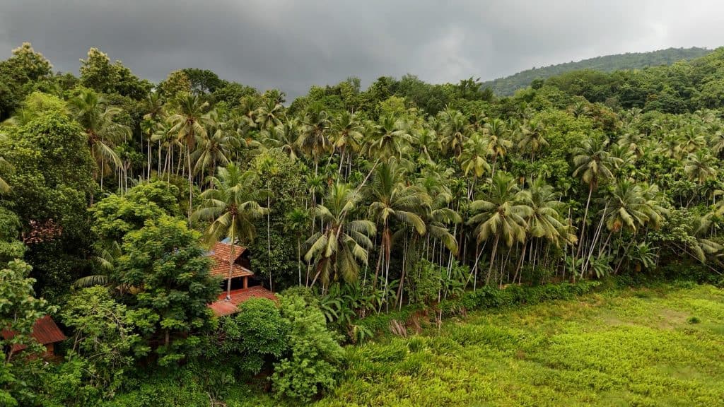 Tourism Booms in Goa: Big Growth in Visitors from Jan to June 2025