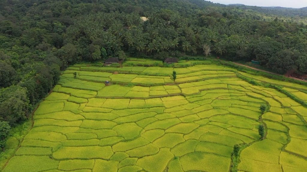 Goa Tourism: Goa records notable tourist footfall in June 2025, driven by Festive Tourism Campaigns