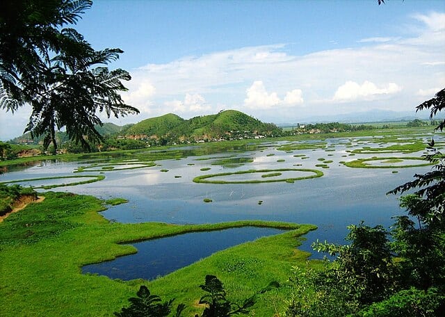 Loktak Lake, the largest freshwater lake in Northeast India, Keibul Lamjao National Park. Image courtesy Peteri Pravalika via Wikkimedia commons