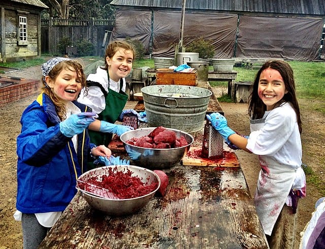 The process of cooking borscht is usually communal, with numerous generations convening in kitchens and around tables. Image Courtesy: Nicki Dugan Pogue, Wikimedia