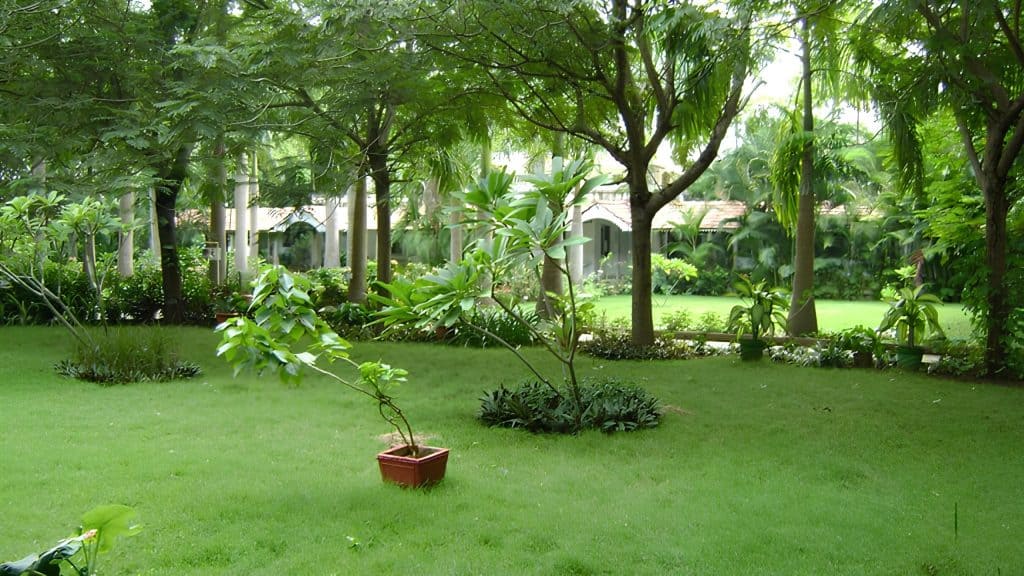 Meditation in nature