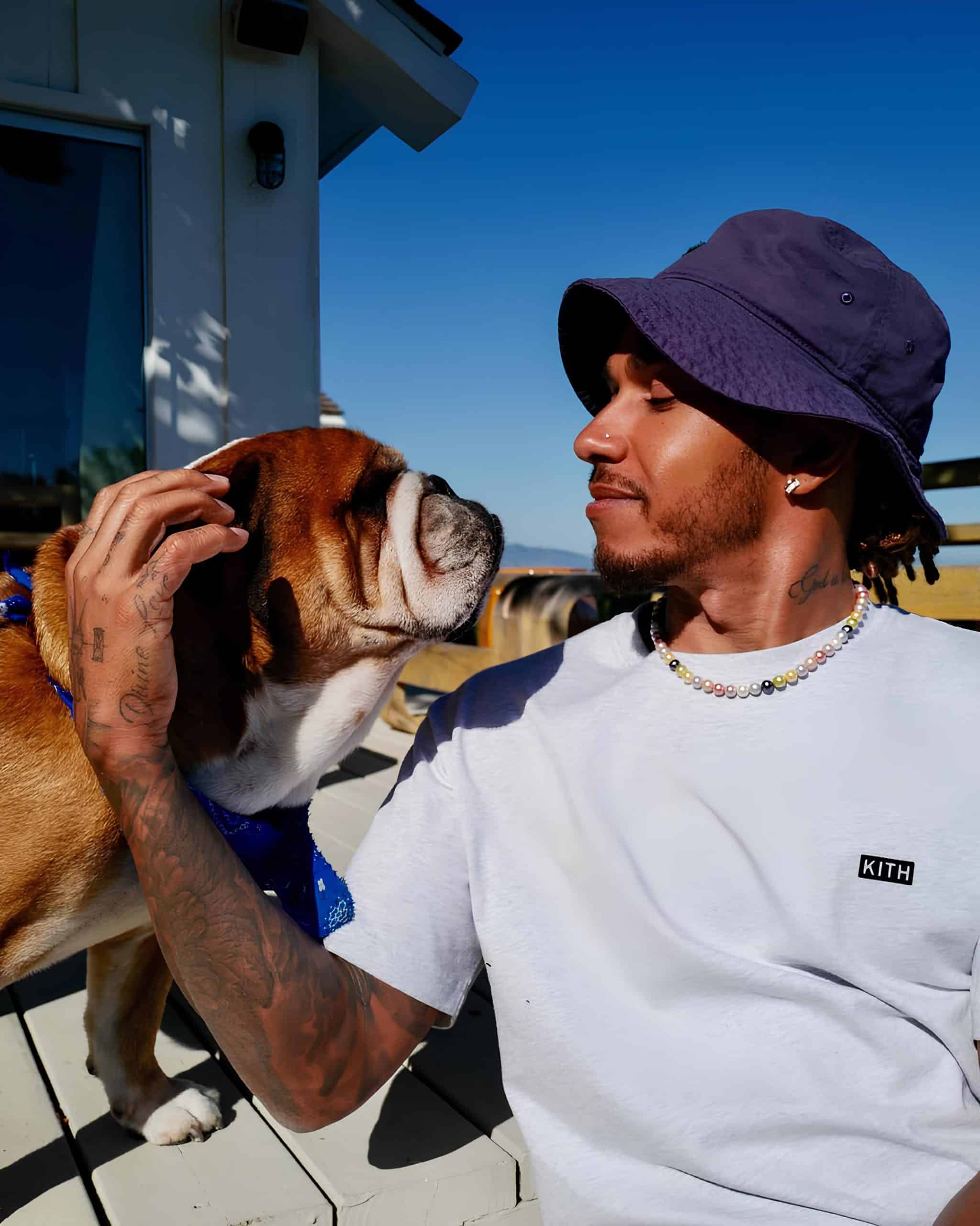 Lewis Hamilton with his pet bulldog, Roscoe
