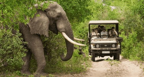 South African Tourism Launches Fifth Edition of Corporate Think Tank in India