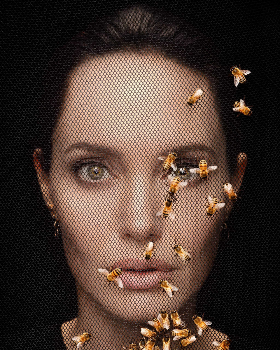 6 Impactful Global Causes Angelina Jolie Fights For With Purpose and Passion