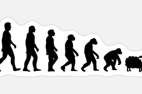 Are all Revenue Managers created equal?