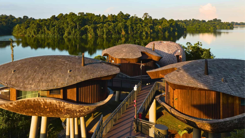 Banyan Tree marks 100th hotel with Mandai Rainforest Resort opening in Singapore