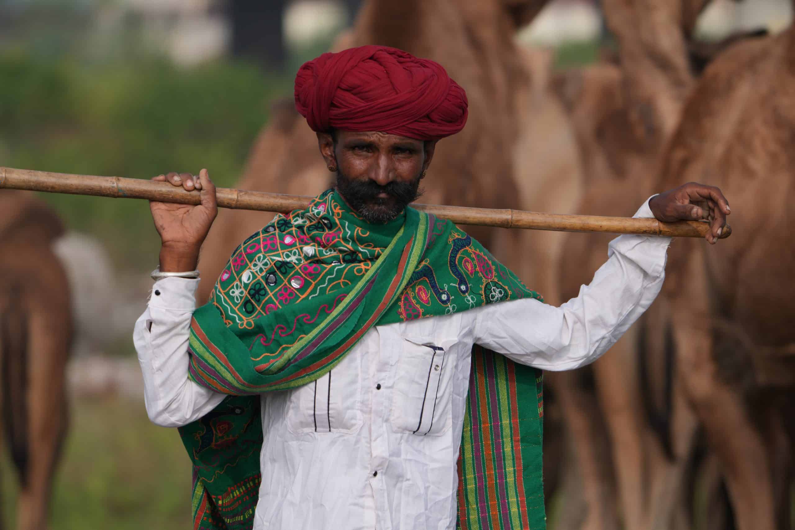 Chandrabhaga Cattle Fair