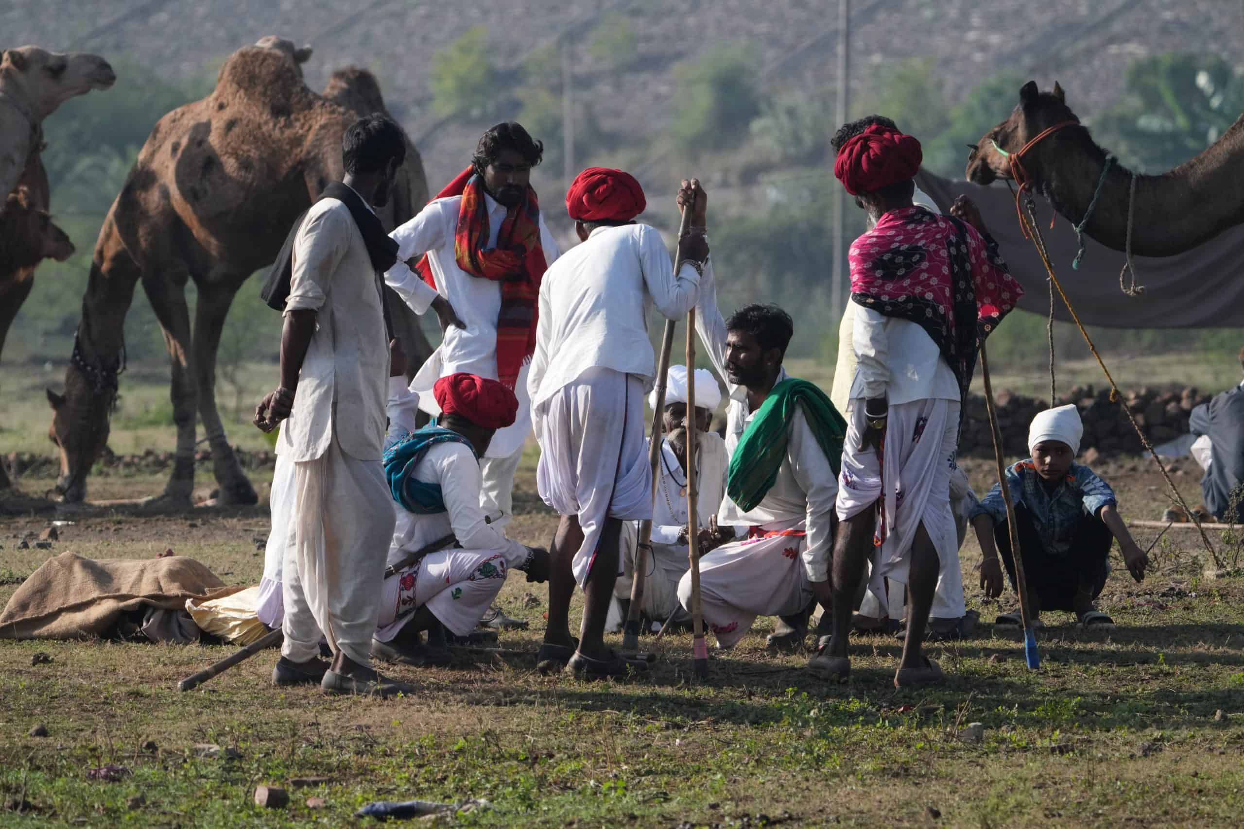 Chandrabhaga Cattle Fair