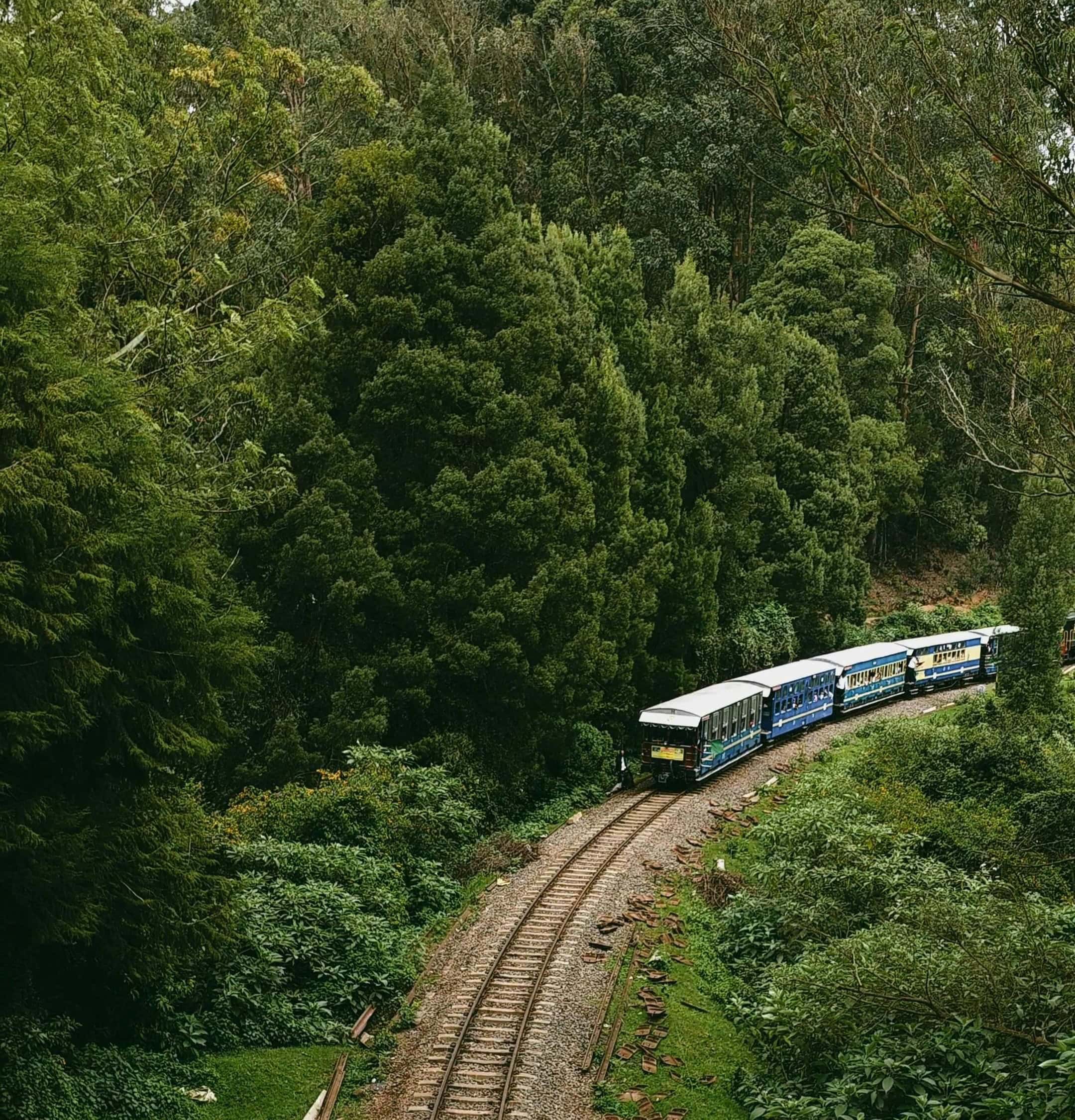  The hills reduce decision fatigue. When the structure of a day is obvious, the mind stops negotiating with itself. Image Courtesy: Jayasoorya KS via Pexels