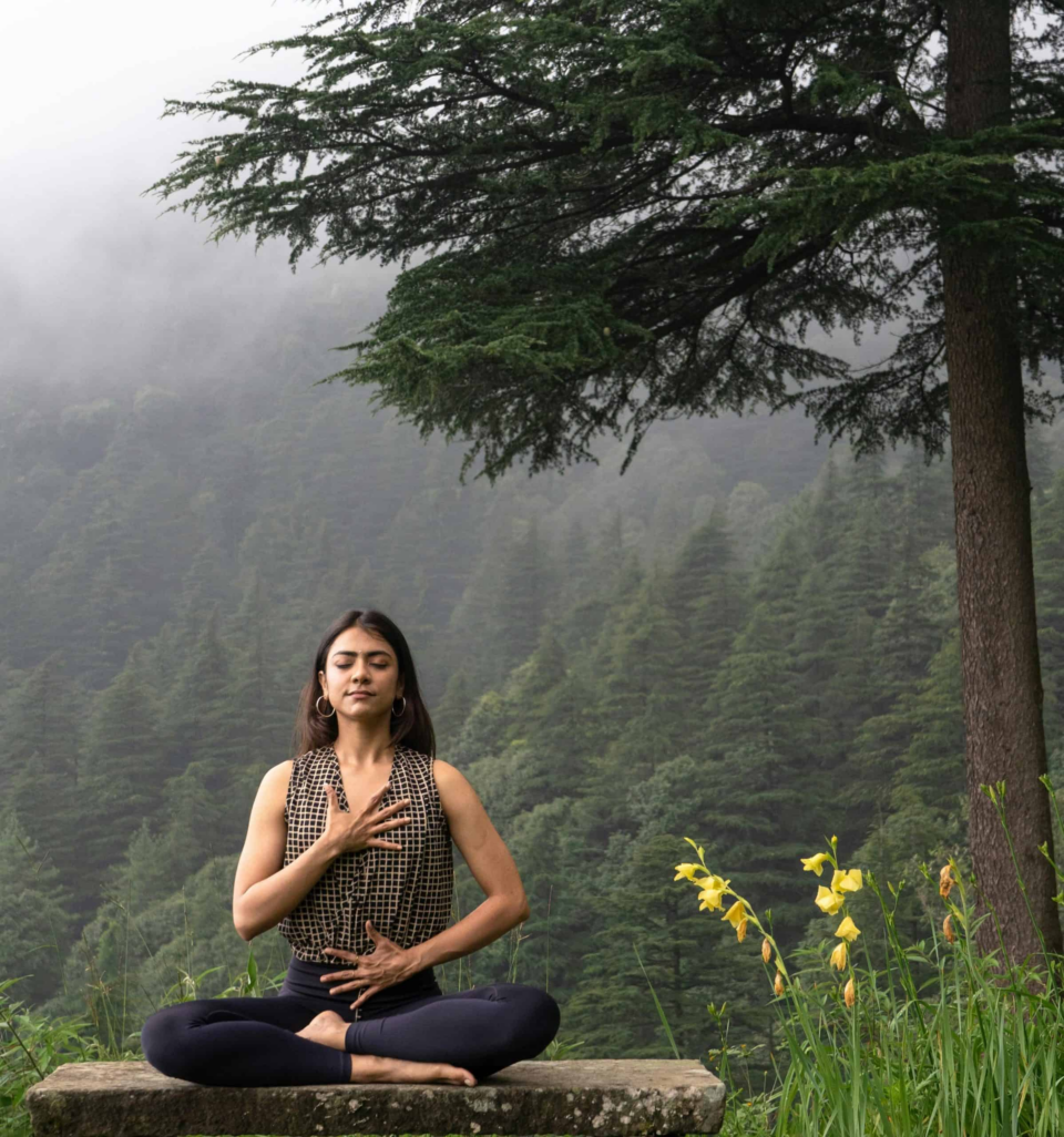 Powerful Peace: Indian Wellness And Its Slow-Travel Wellness Routes for Deep Renewal