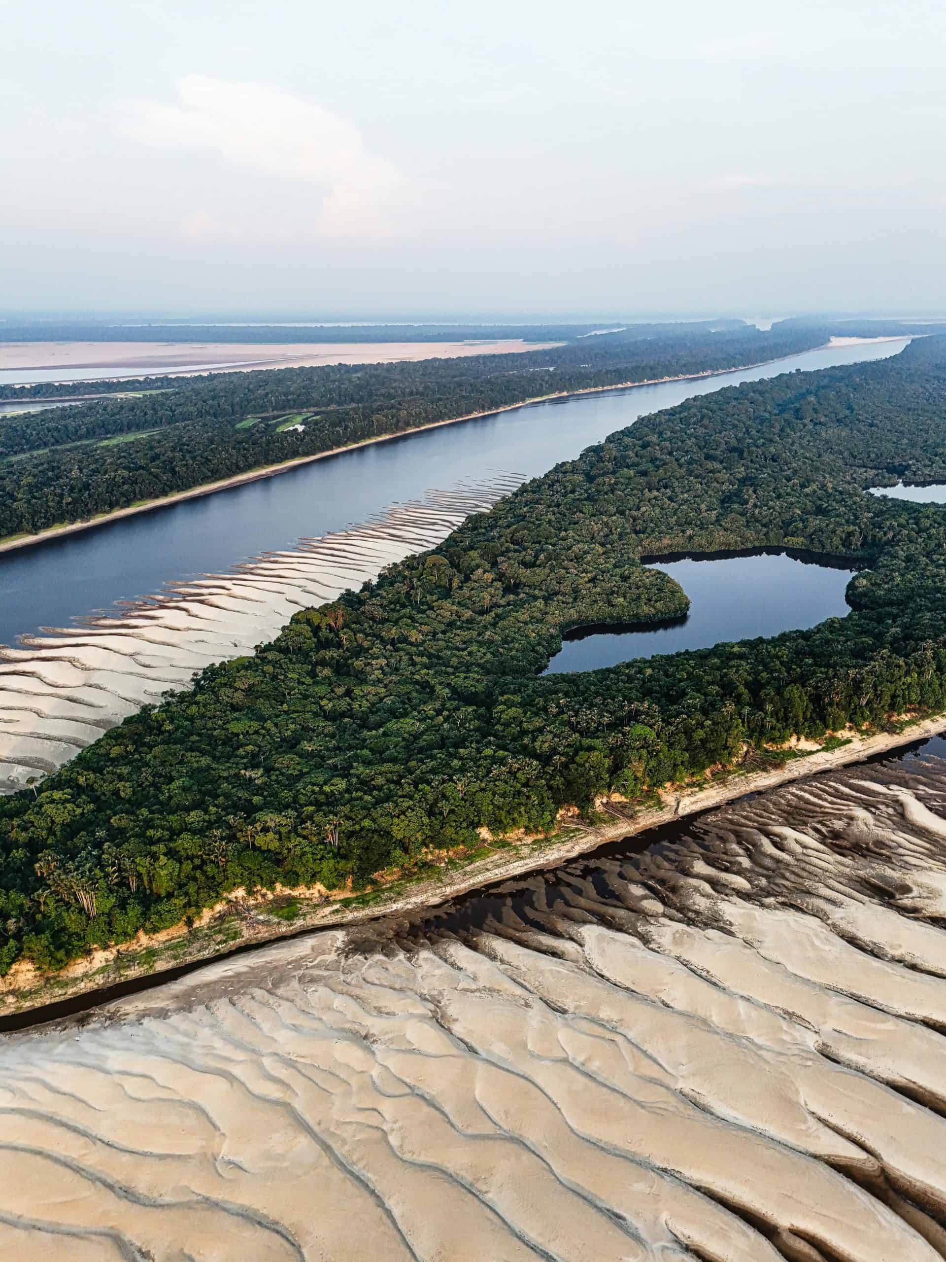 Aerial View of Amazon River Bend with Lush Rainforest. Courtesy: Gustavo Denuncio,pexels