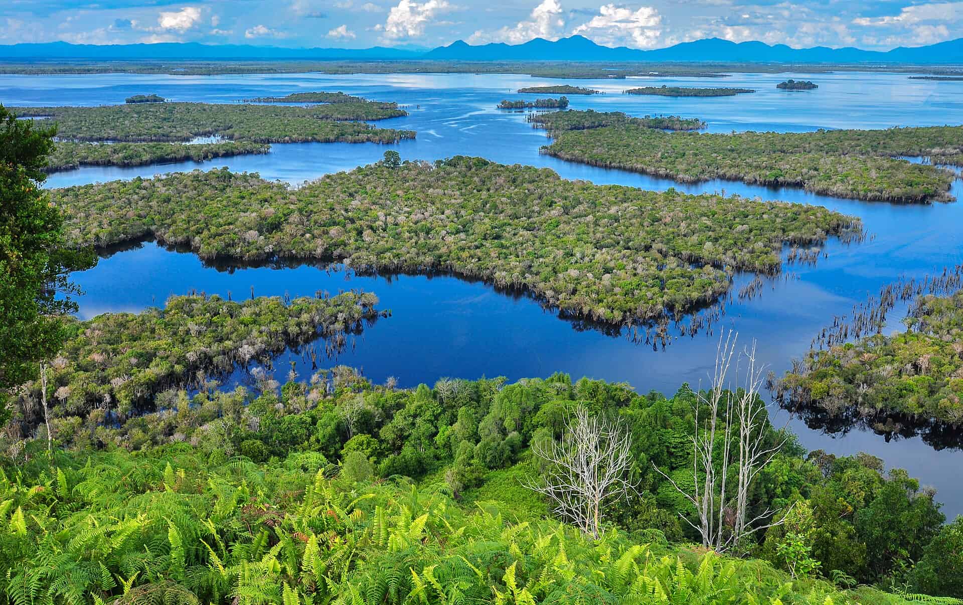The Sentarum Lake National Park. Courtesy: Wikimedia Commons